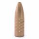 Frontier Spartan Bullets 458-cal 450gr SpFP BB MHP [25]