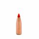 Hornady V-Max Bullets 22-cal 55gr SPT FB PTip [250]