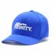 Team Infinity Cap (L-XL, Blue)