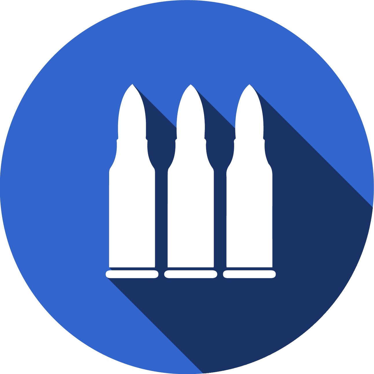 Ammunition Sales Terms