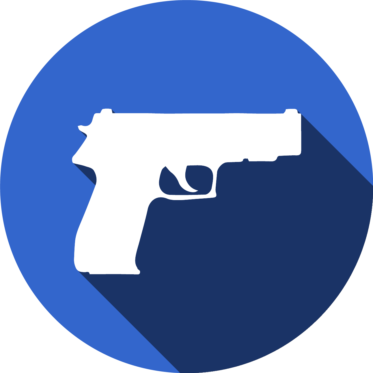 Firearm Sales Terms
